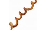 MASCOTI BULLY STICK SPIRAL