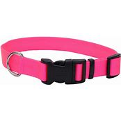 COASTAL NO SLIP MARTINGALE COLLAR W/BUCKLE