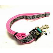 LAZER BRITE LEASHES
