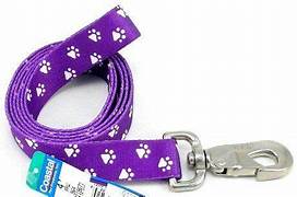 COASTAL LEASH PURPLE SMALL PAWS 18"