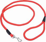 COASTAL ROPE LEASH 6'