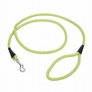 COASTAL ROPE LEASH 6'