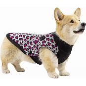 CANADA POOCH NORTHERN KNIT