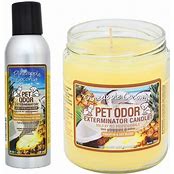 PET ODOR EXTERMINATOR CANDLE FOR THE CAR
