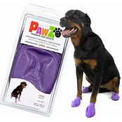 PAWZ DISPOSABLE BOOTS 12 COUNT