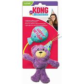 KONG CAT BIRTHDAY TEDDY