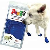 PAWZ DISPOSABLE BOOTS 12 COUNT