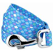 COASTAL STYLES LEASH 6'