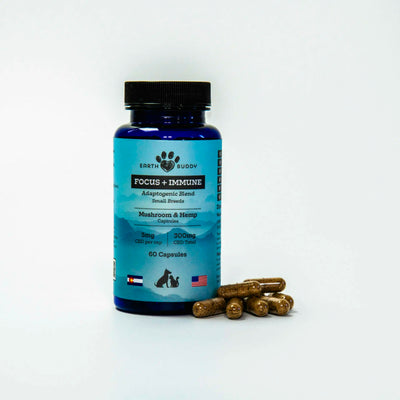 EARTH BUDDY ORGANIC HEMP COMPLEX & MUSHROOM BLEND