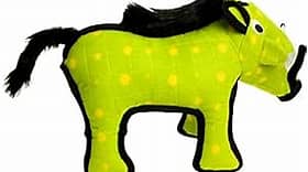 TUFFY DESERT WARTHOG
