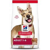 SCIENCE DIET DOG LAMB 15.5LB