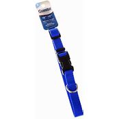 COASTAL NO SLIP MARTINGALE COLLAR W/BUCKLE