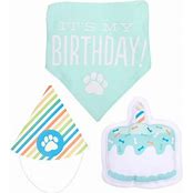 PEARHEAD BIRTHDAY PUP BANDANA & HAT SET S/M