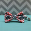 COASTAL FASHION BREAKAWAY COLLAR W/BELL