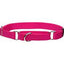 COASTAL NO SLIP MARTINGALE COLLAR W/BUCKLE