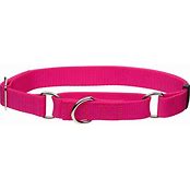 COASTAL NO SLIP MARTINGALE COLLAR W/BUCKLE