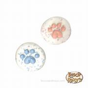 BOSCO & ROXY'S HAPPY BARK-DAY COLLECTION