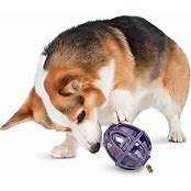 PETSAFE KIBBLE NIBBLE