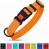COASTAL PRO REFLECTIVE ADJUSTABLE COLLAR