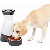 PETSAFE PET FOOD STATION MEDIUM