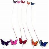 GO CAT BUTTERFLIER