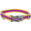 COASTAL PRO REFLECTIVE ADJUSTABLE COLLAR