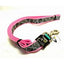 LAZER BRITE LEASHES