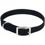 COASTAL RIBBON DOG COLLAR