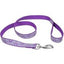 LAZER BRITE LEASHES