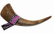 STASH WATER BUFFALO HORN