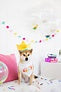 PEARHEAD HAPPY BARKDAY BANDANA & HAT SET M/L