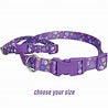COASTAL STYLES COLLAR