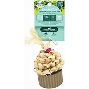 OXBOW ENRICHED CELEBRATION CUPCAKE