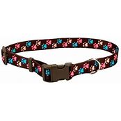 COASTAL STYLES COLLAR