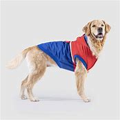 CANADA POOCH 360 JACKET