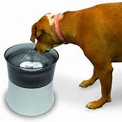 128OZ ELEVATED VORTEX DRINKING FOUNTAIN