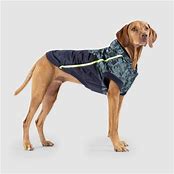 CANADA POOCH 360 JACKET