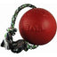 JOLLY PETS ROMP-N-ROLL BALL