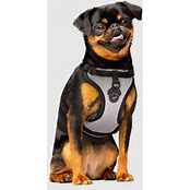 CANADA POOCH EVERYTHING HARNESS