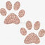 DUROBOLZ ROSE GOLD PAW