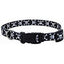 COASTAL STYLES COLLAR