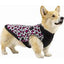 CANADA POOCH NORTHERN KNIT