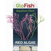 TETRA GLOFISH PLANTS