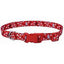 COASTAL STYLES COLLAR