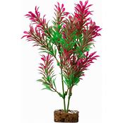 TETRA GLOFISH PLANTS
