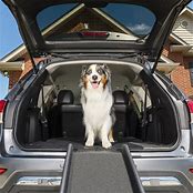 PET SAFE MINI DOG RAMP JUNIOR