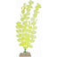 TETRA GLOFISH PLANTS