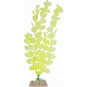 TETRA GLOFISH PLANTS