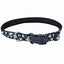 COASTAL STYLES COLLAR