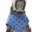 CANADA POOCH RINGER SHIRT